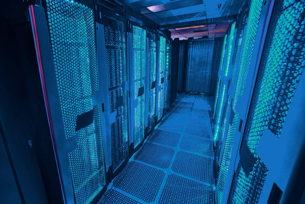 Web Hosting Professional